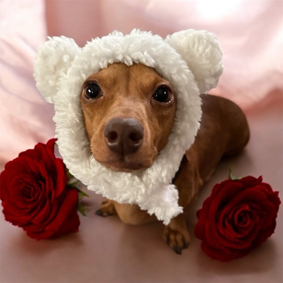 NEW Adorable Pet Hat - Picture 1 of 4